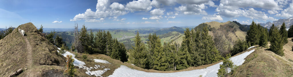 Rundwanderung Urnäsch - Petersalp - Spitzli - Panorama 2