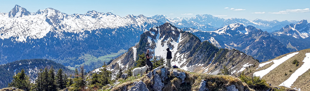 Rundwanderung - Stein - Gmeinenwishöchi (Alplispitz) - Neuenalpspitz - Schlofstein