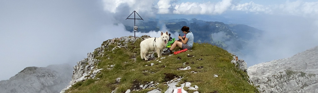 Rundwanderung Wägitalersee - Mutteristock