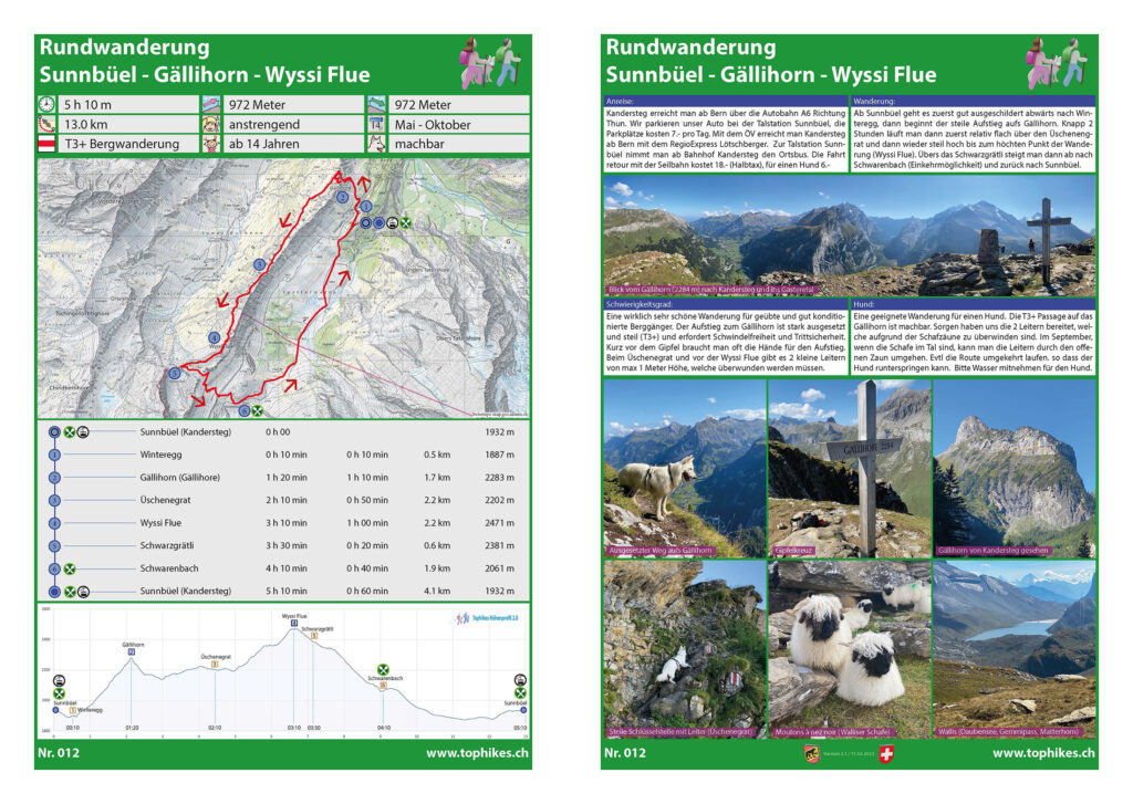 Rundwanderung Sunnbüel (Kandersteg)- Gällihorn - Wyssi Flue - Factsheet