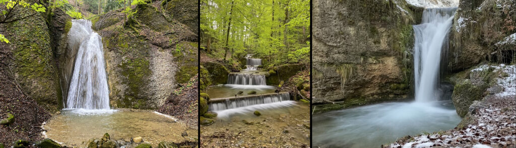 Rundwanderung Wald - Sagenraintobel - Farneralp - Chrineberg - Tannberg - Wald - Factsheet - Panorama 2