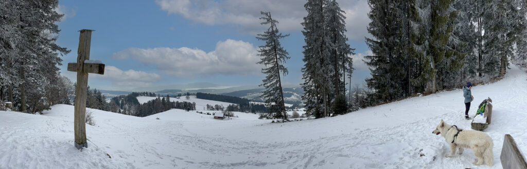 Rundwanderung Wald - Sagenraintobel - Farneralp - Chrineberg - Tannberg - Wald - Factsheet - Panorama 1