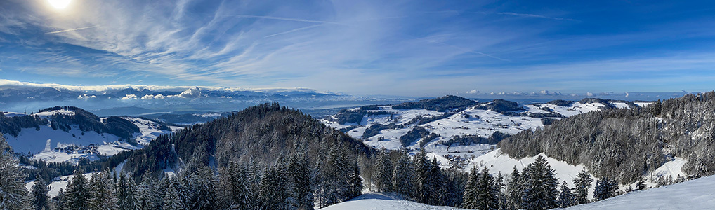 Rundwanderung Wald - Alp Scheidegg