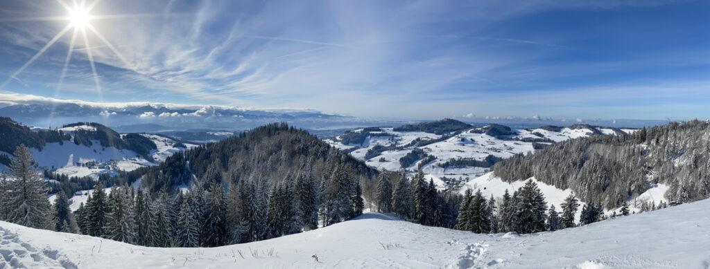 Rundwanderung Wald - Alp Scheidegg - Panorama 2