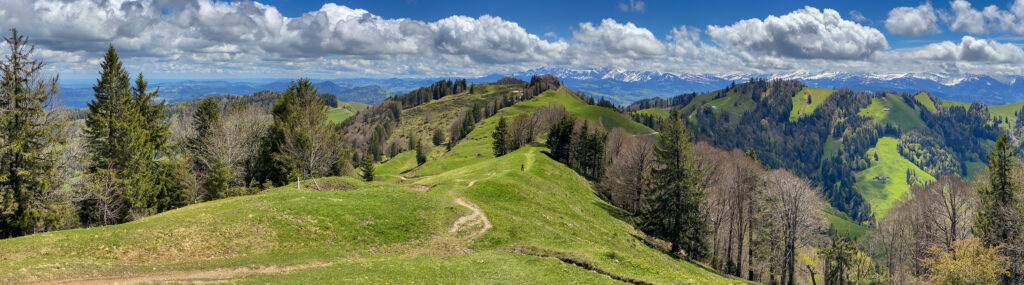 Rundwanderung Libingen - Schindelberg - Chrüzegg - Panorama 2