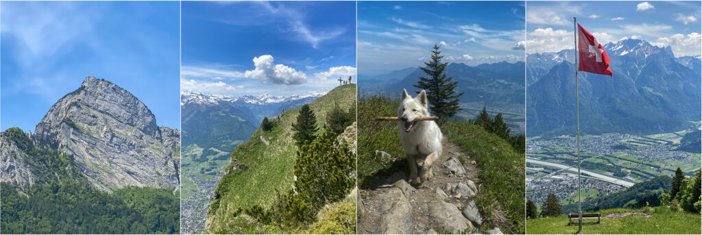 Rundwanderung Schnapsgrotzen - Gonzen - Panorama 3