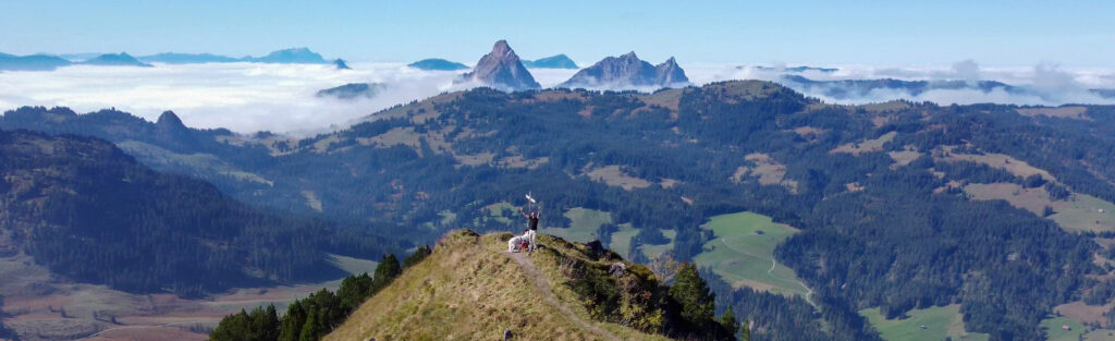 Rundwanderung Oberiberg - Roggenstock - Panorama 2