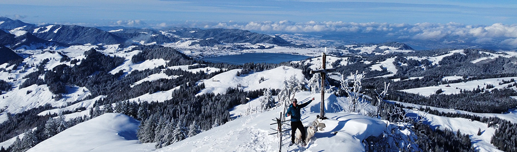 Schneeschuhwanderung Sattelegg - Chli Aubrig
