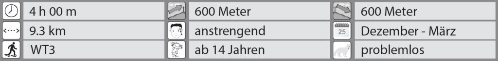 Schneeschuhwanderung Arvenbüel - Flügespitz - Facts