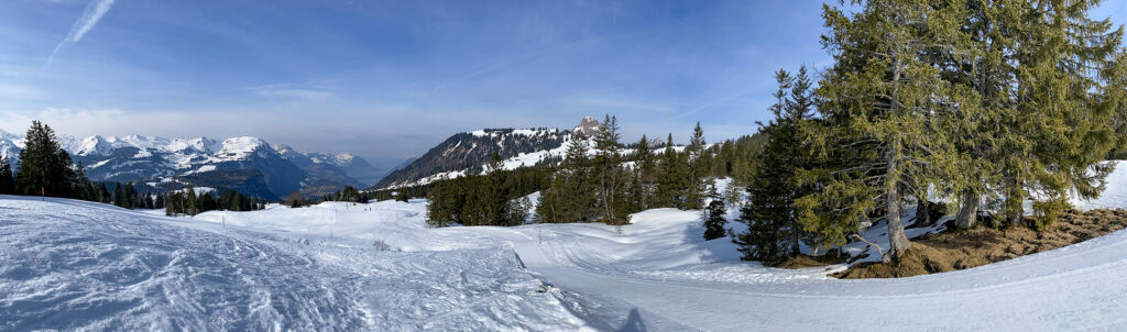 Schneeschuhwanderung Ibergeregg - Rotenflue - Panorama 2