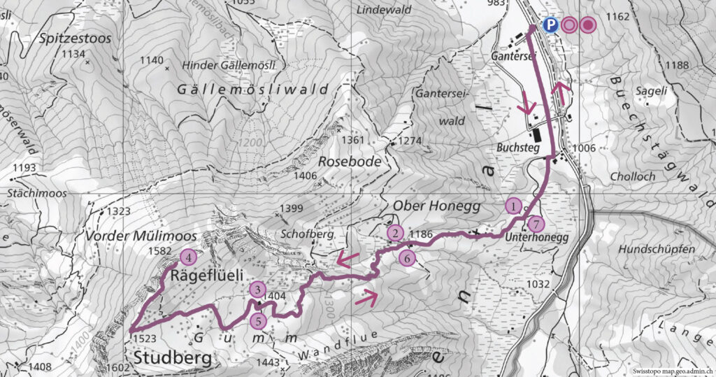 Schneeschuhwanderung Gantersei - Rägeflüeli (Eigenthal) - Wanderkarte