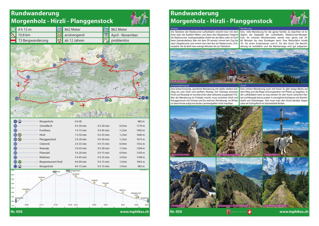 Rundwanderung Morgenholz - Hirzli - Planggenstock - Factsheet