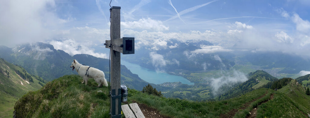 Rundwanderung Tutz - Plättlispitz - Federispitz - Panorama 1