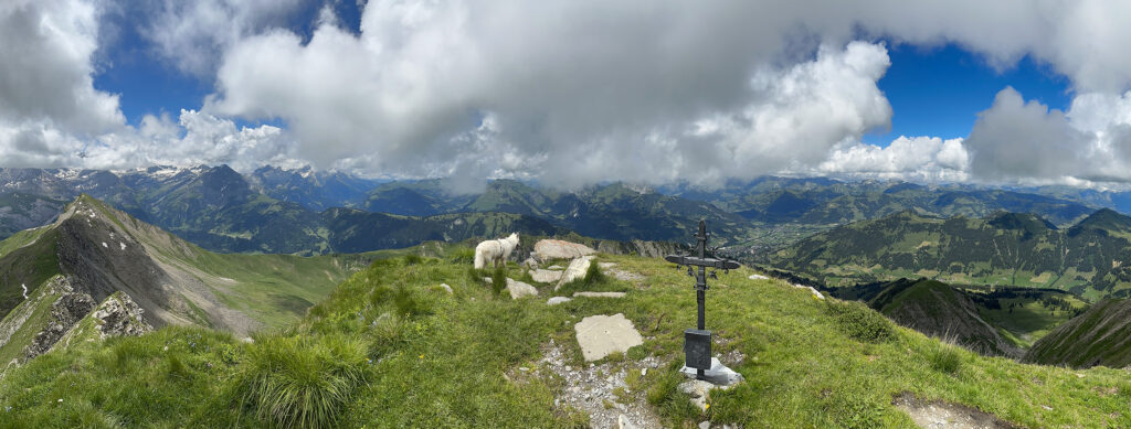 Rundwanderung Turbach - Giferspitz - Louwenehore - Panorama 1