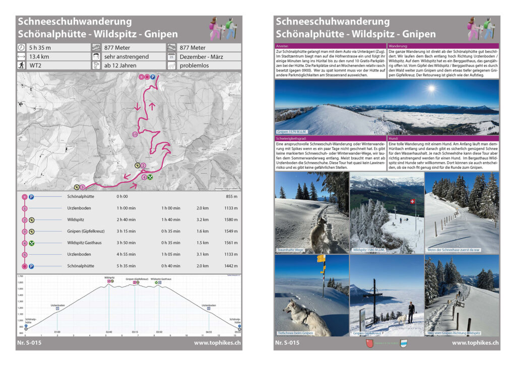 Schneeschuhwanderung Schönalphütte - Wildspitz - Gnipen - Factsheet