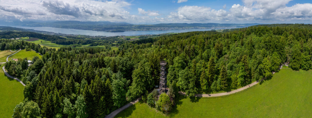 Rundwanderung Meilen (Burg Friedberg) - Pfannenstiel - Panorama 3