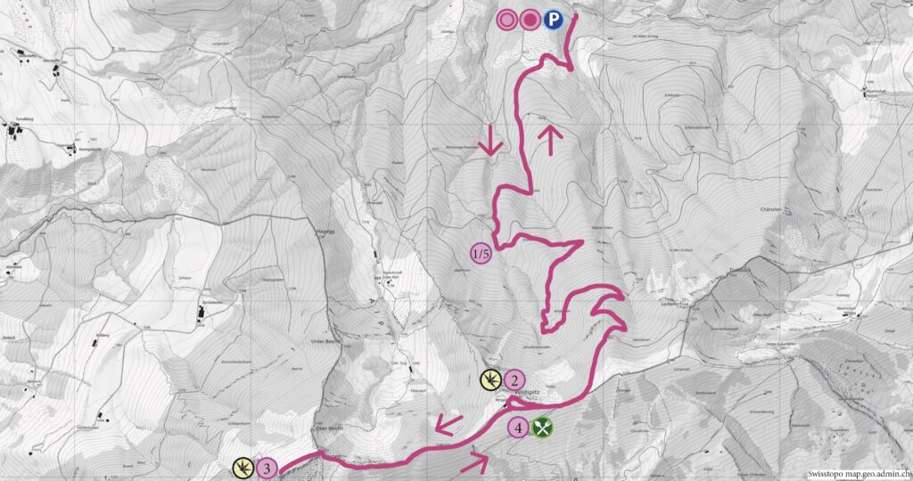 Schneeschuhwanderung Schönalphütte - Wildspitz - Gnipen - Wanderkarte