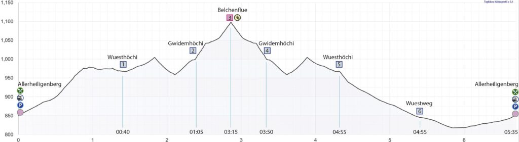 Schneeschuhwanderung Allerheiligenberg - Belchenflue - Höhenprofil
