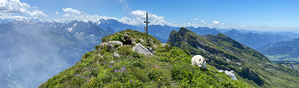 Rundwanderung Vordere Selunalp - Selun