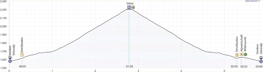 Rundwanderung Vordere Selunalp - Selun - Höhenprofil