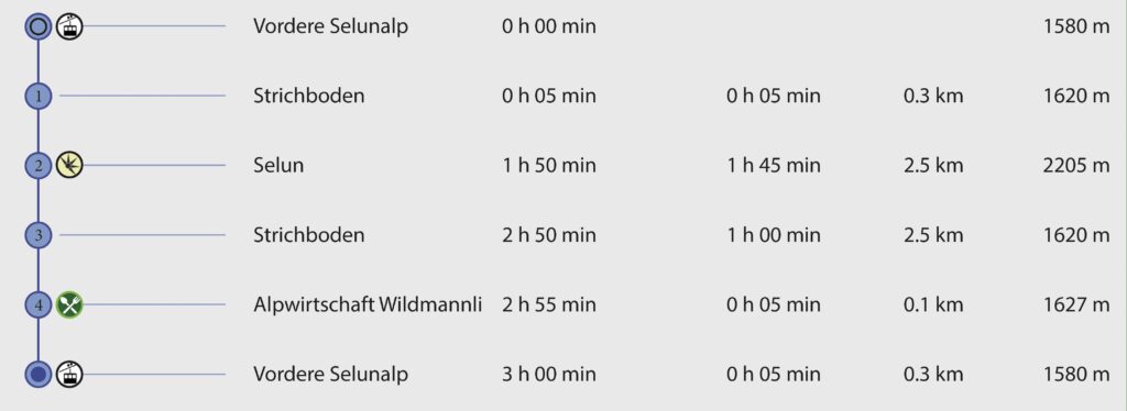 Rundwanderung Vordere Selunalp - Selun - Wegpunkte