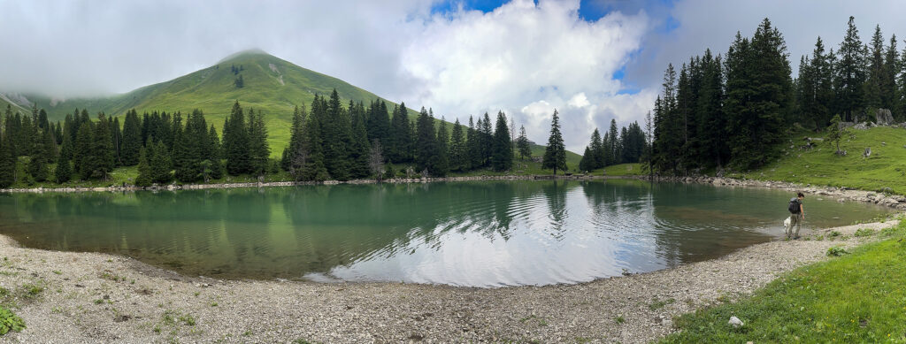 Rundwanderung Gurnigel/Wasserscheidi - Schibespitz - Gantrisch - Panorama 1