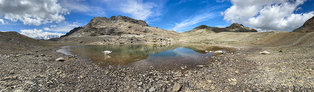 Rundwanderung Bernina Diavoleza - Fuorcla Pischa - Pontresina