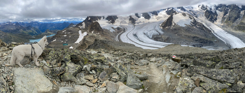 Rundwanderung Diavolezza - Munt Pers - Panorama 2