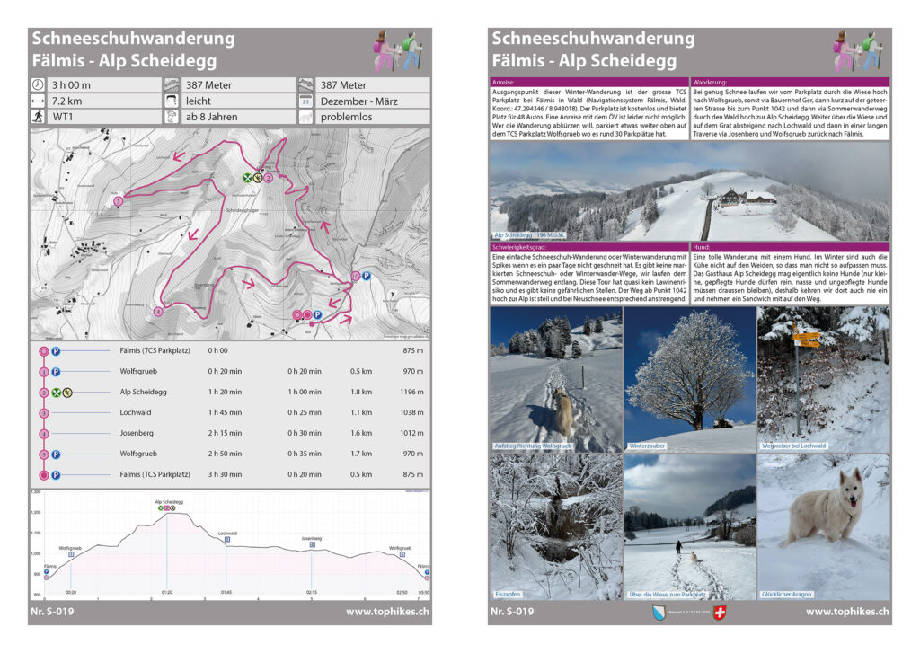 Schneeschuhwanderung Fälmis - Alp Scheidegg - Factsheet