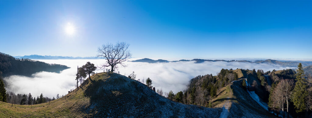 Rundwanderung Fischenthal – Hüttchopf - Panorama 3