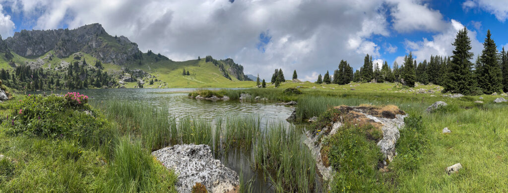 Rundwanderung Meiebergalp (Gestelenpass) - Seebergsee (Diemtigtal) - Panorama 1