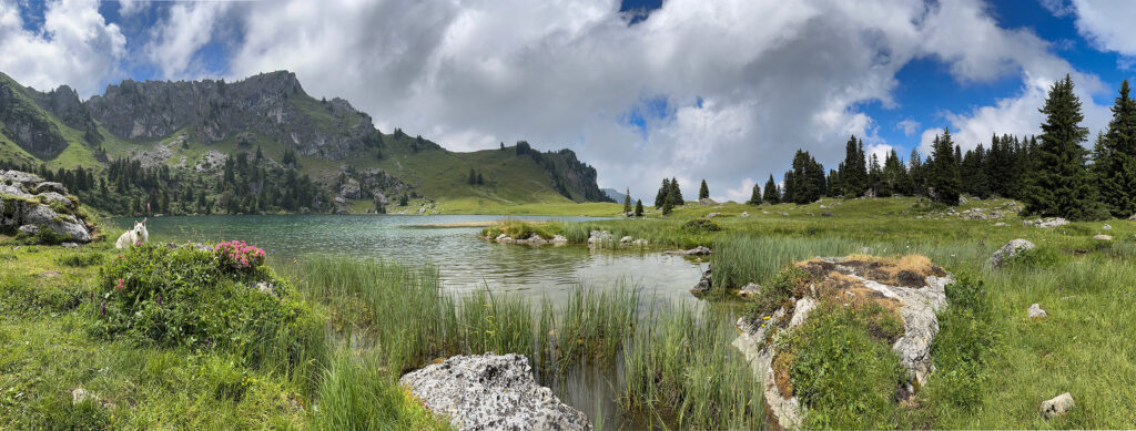 Rundwanderung Meiebergalp (Gestelenpass) - Seebergsee (Diemtigtal) - Panorama 2