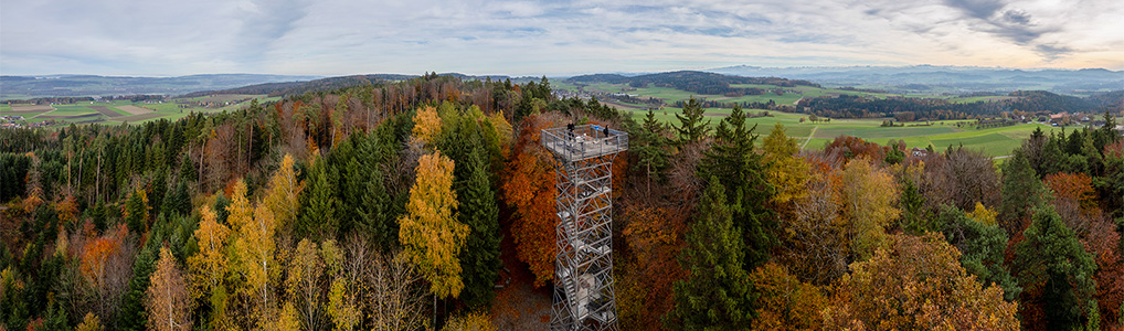 Rundwanderung Forsthof Egg (Thundorf) - Stählibuckturm