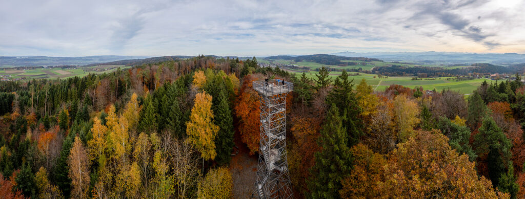 Rundwanderung Forsthof Egg (Thundorf) - Stählibuckturm - Panorama 2
